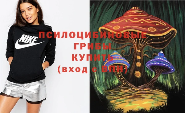 кокаин Заводоуковск